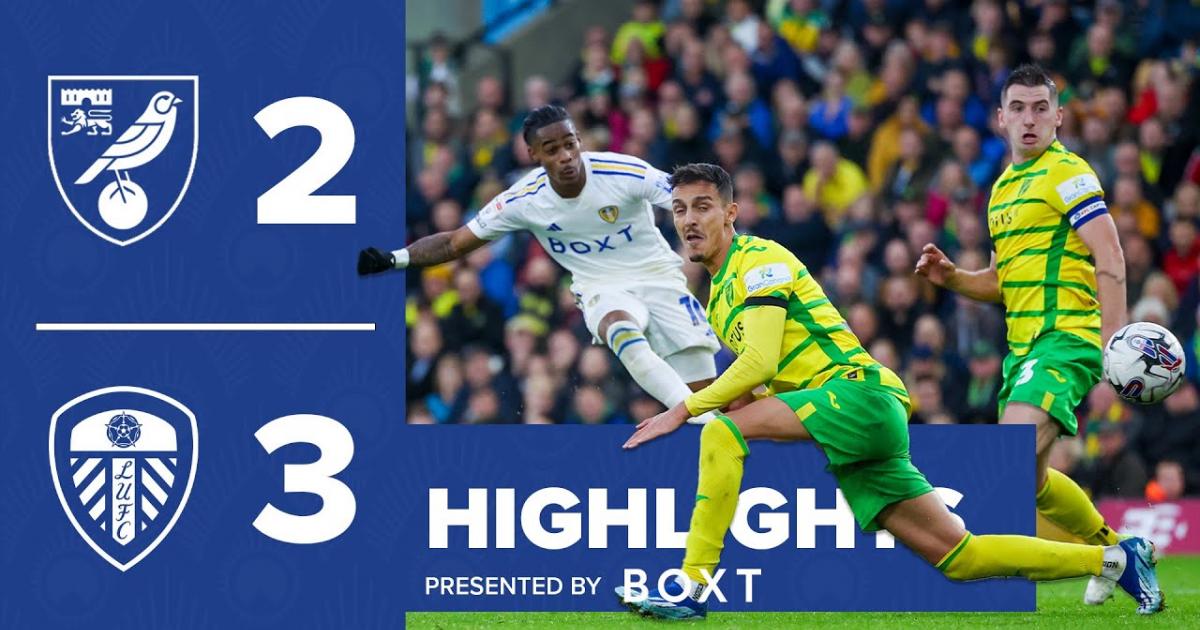 HIGHLIGHTS, Cardiff City 2-3 Norwich City