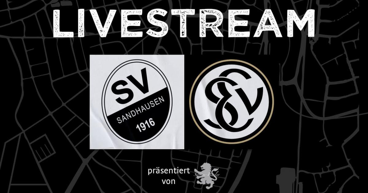 🔴 LIVE: SV Sandhausen vs SV Elversberg, Pre-season International