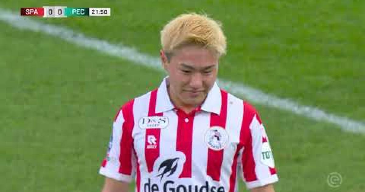 Highlights