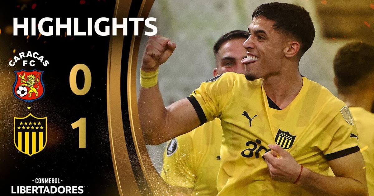 Highlights
