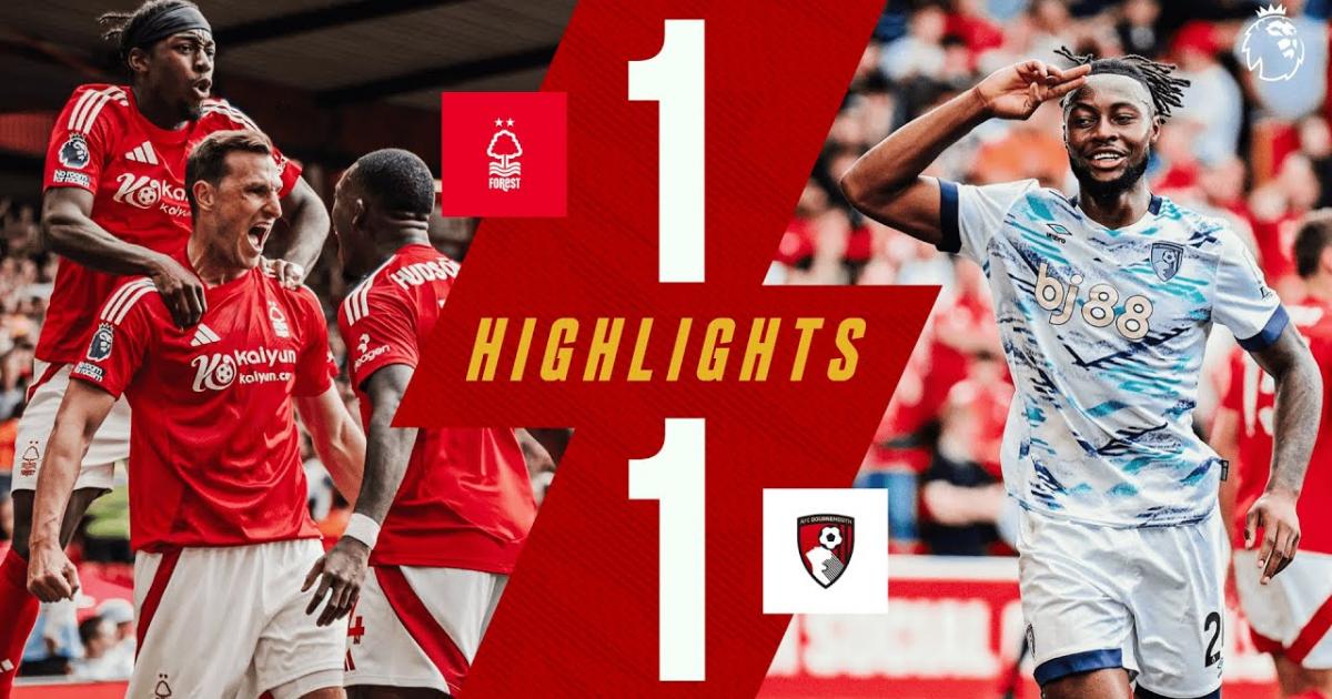 Highlights