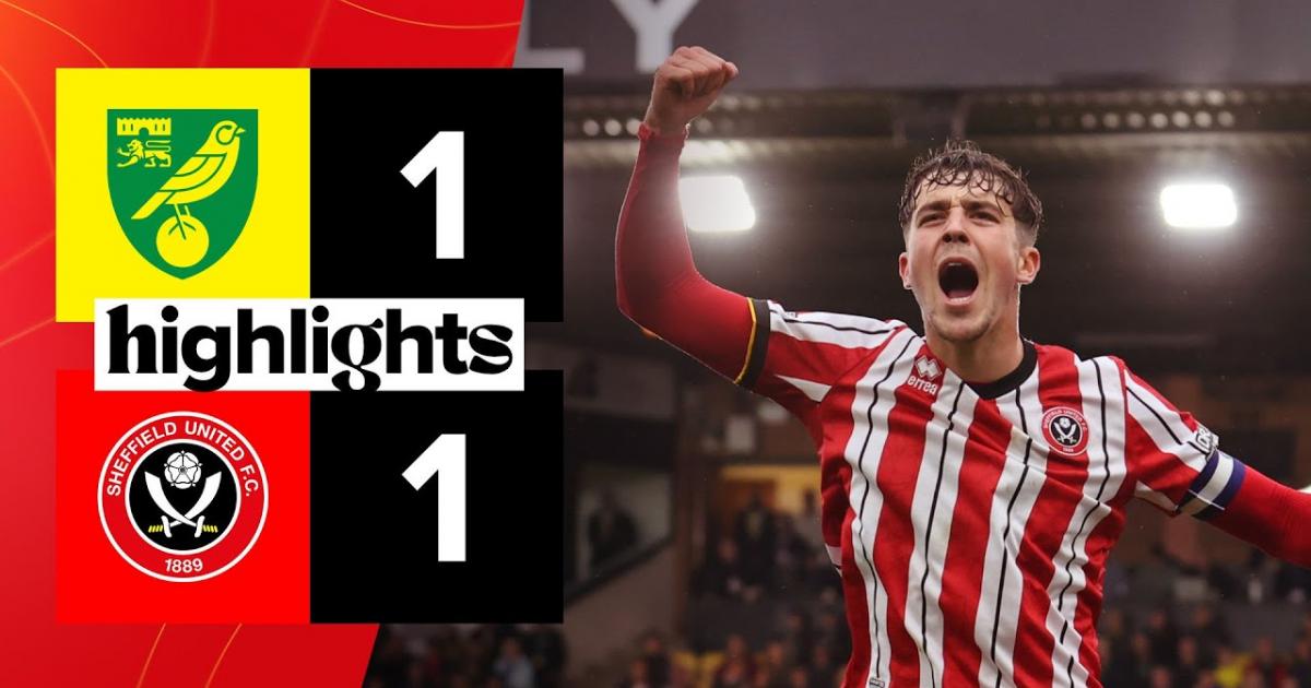 Highlights