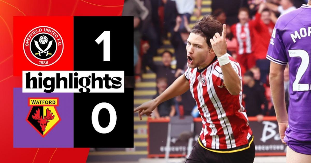 Highlights