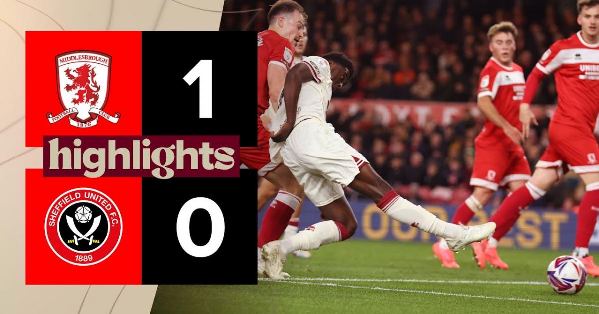 Highlights