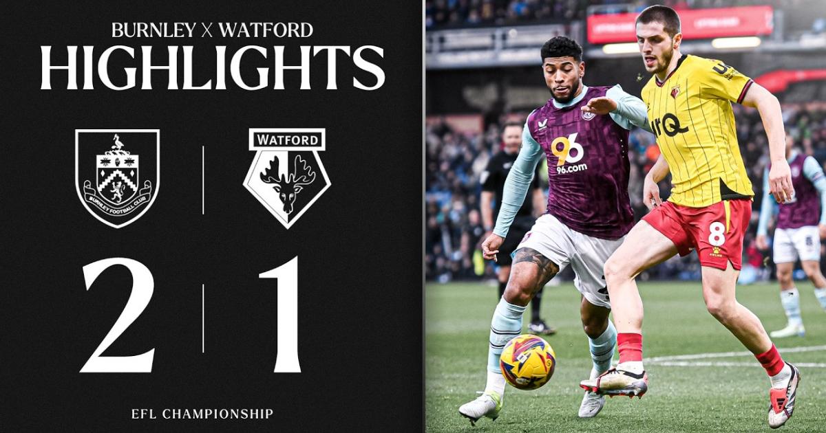 Highlights