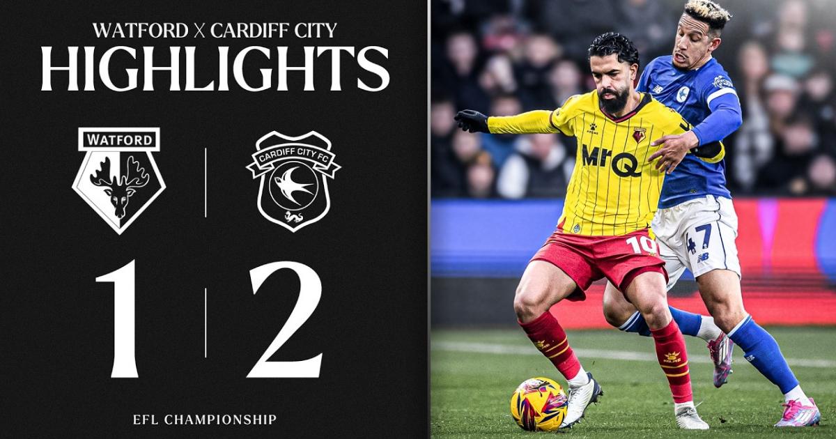 Highlights