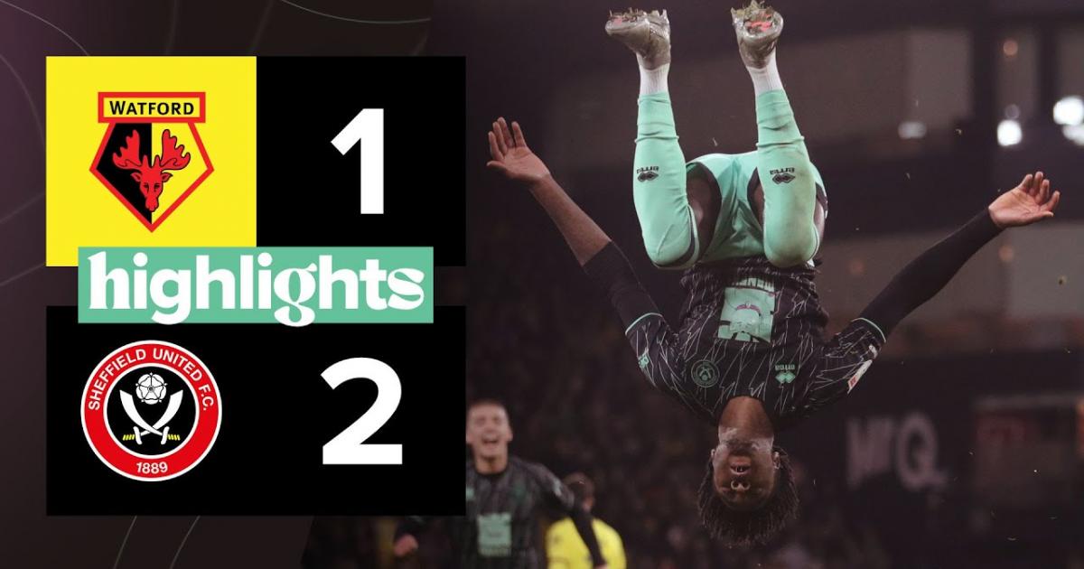 Highlights