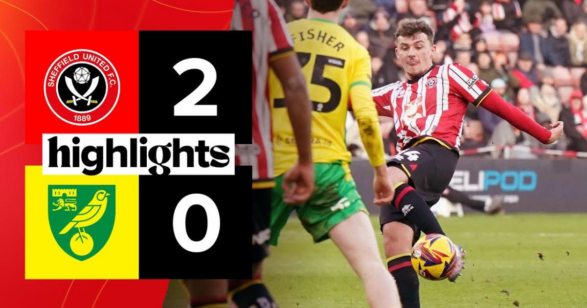 Highlights
