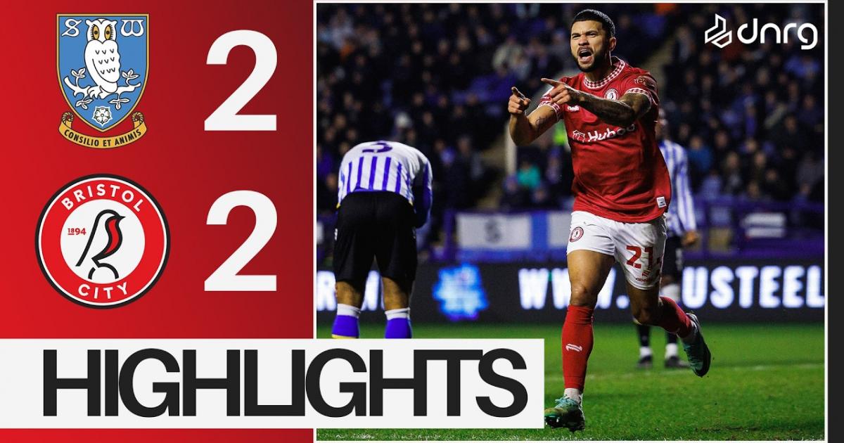 Highlights