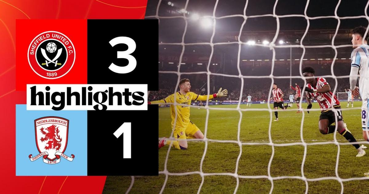 Highlights