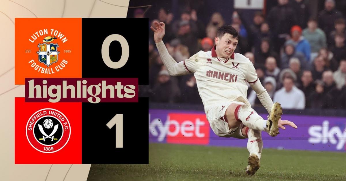Highlights