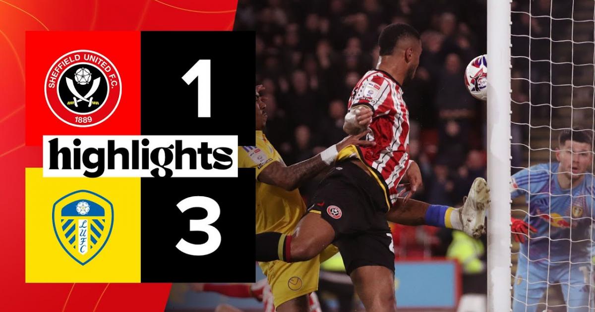 Highlights