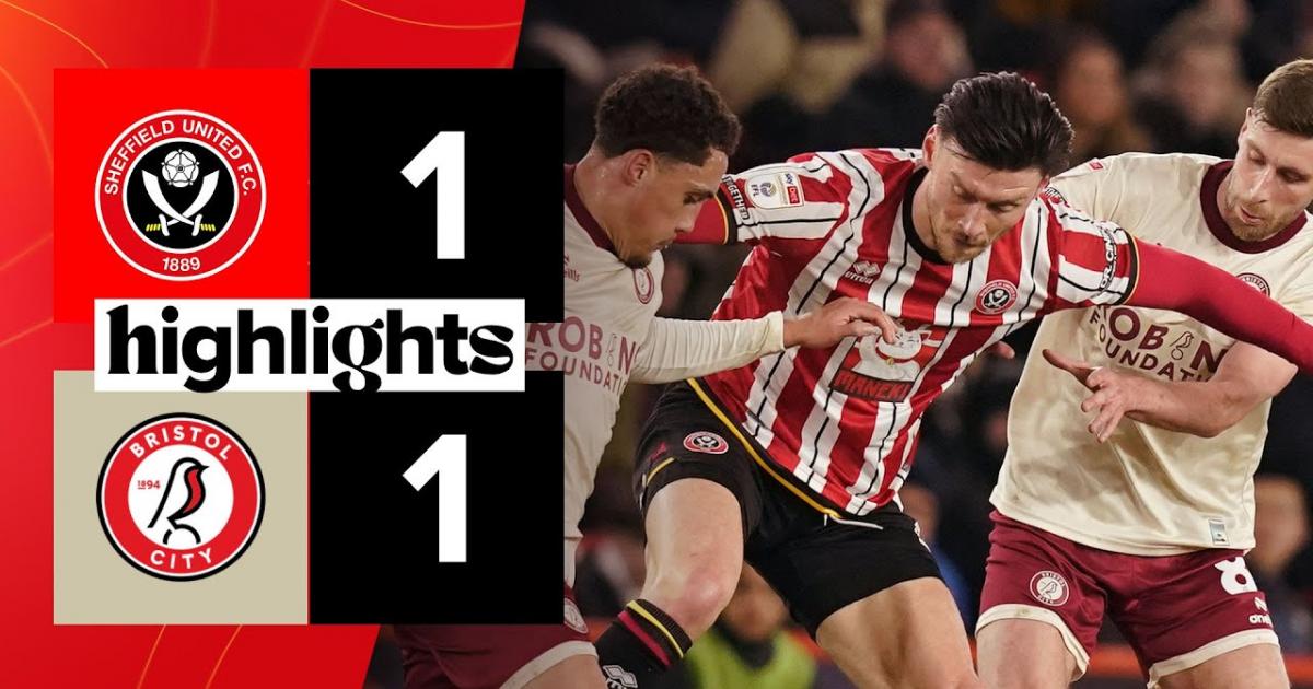 Highlights