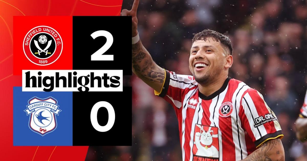 Highlights