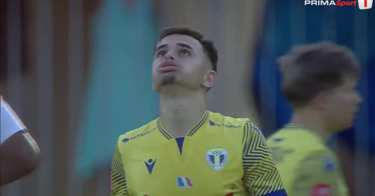 Highlights