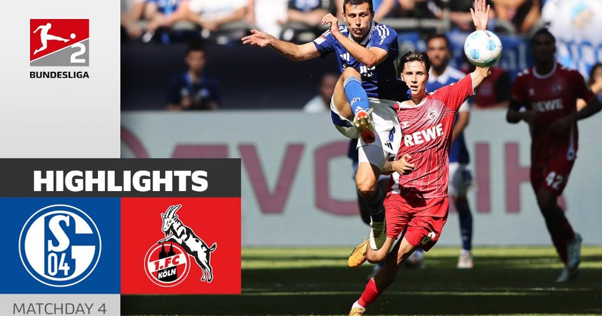 Highlights