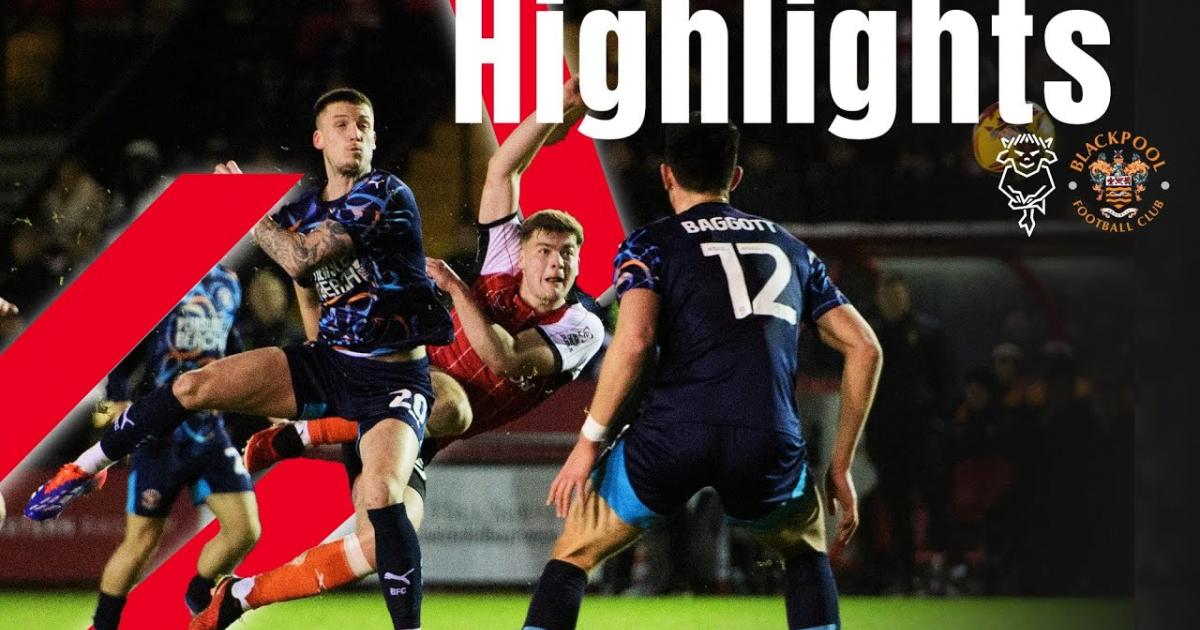 Highlights