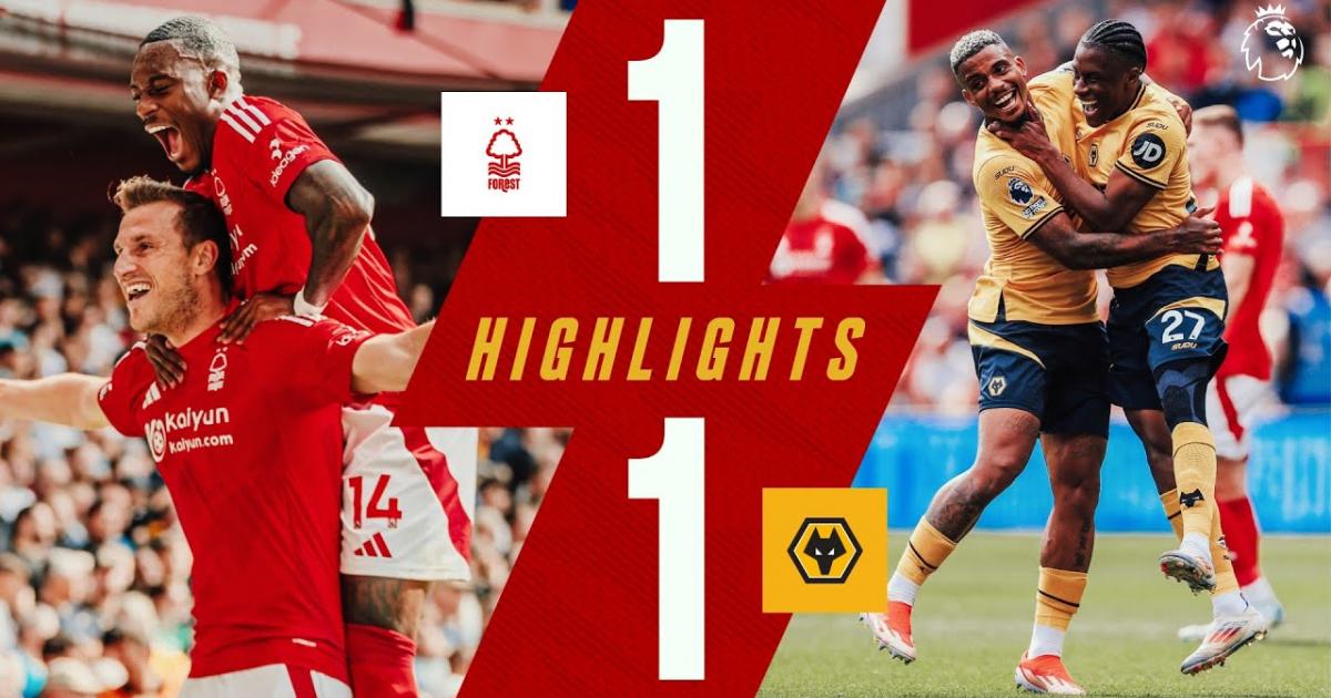 Highlights