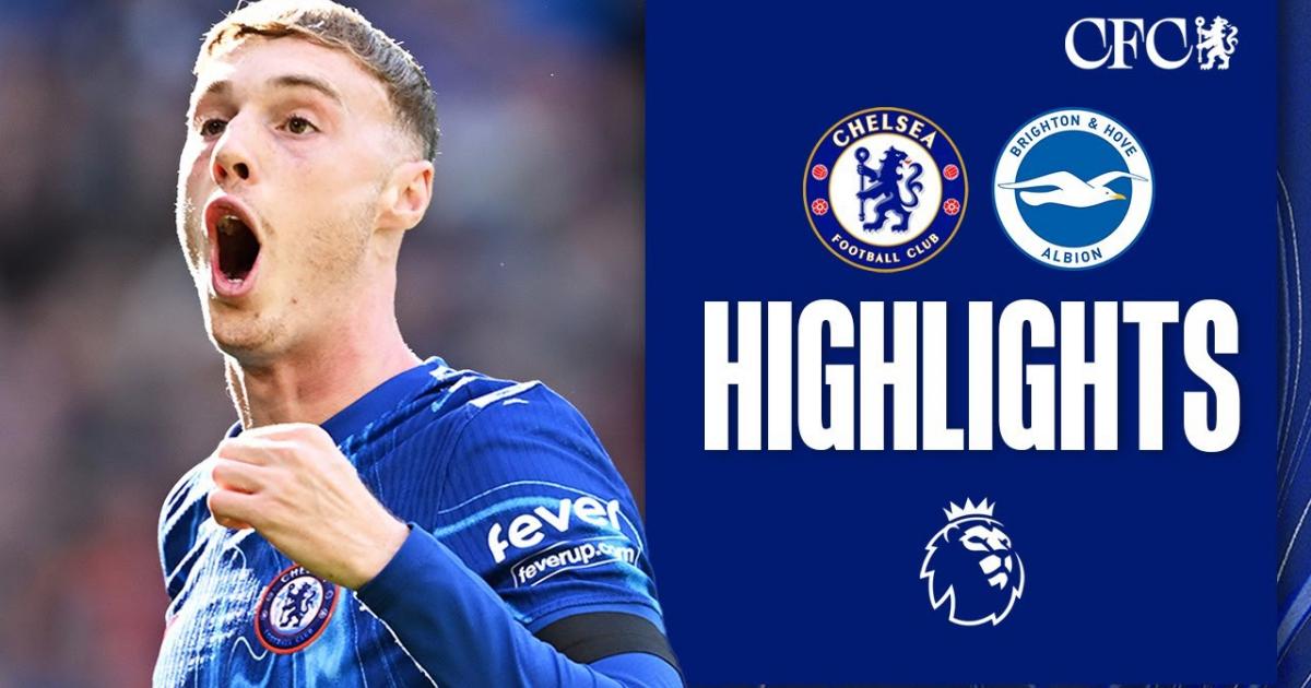 Highlights
