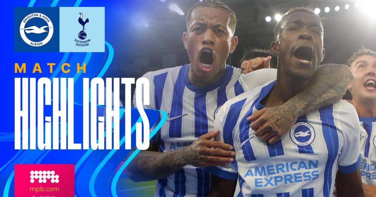 Highlights