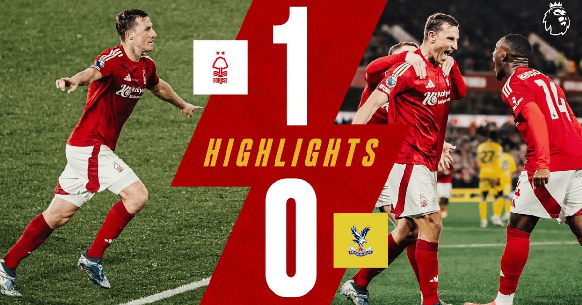 Highlights