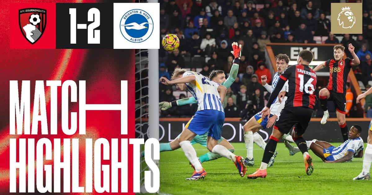 Highlights