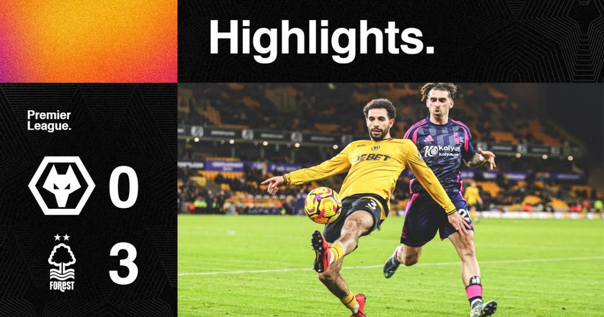 Highlights