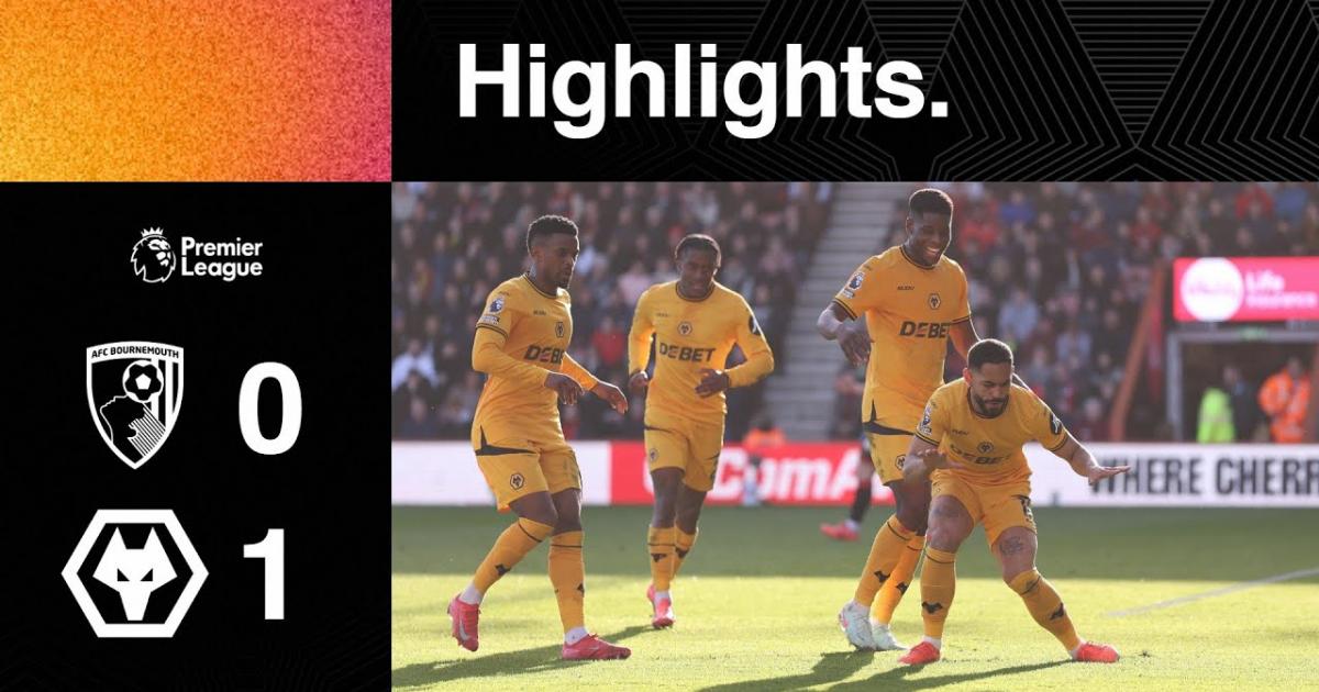 Highlights