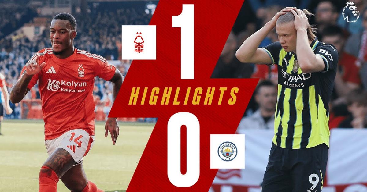 Highlights