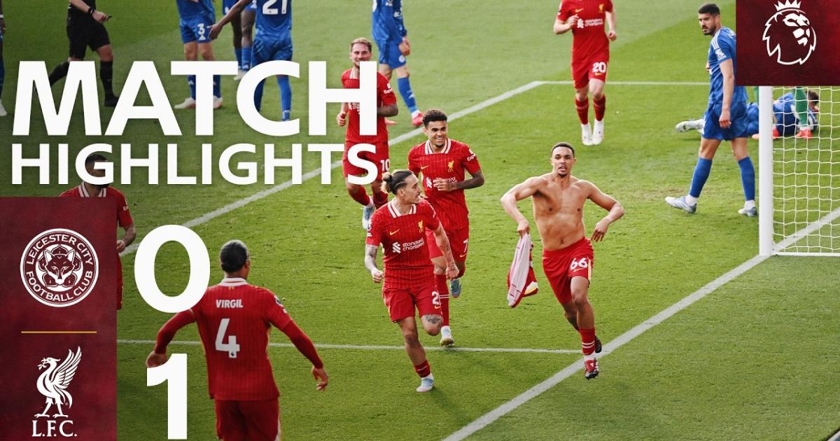 Highlights