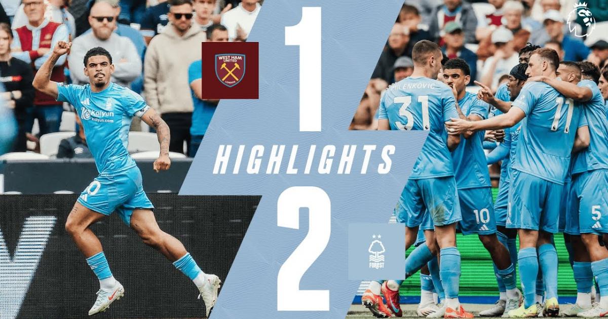 Highlights