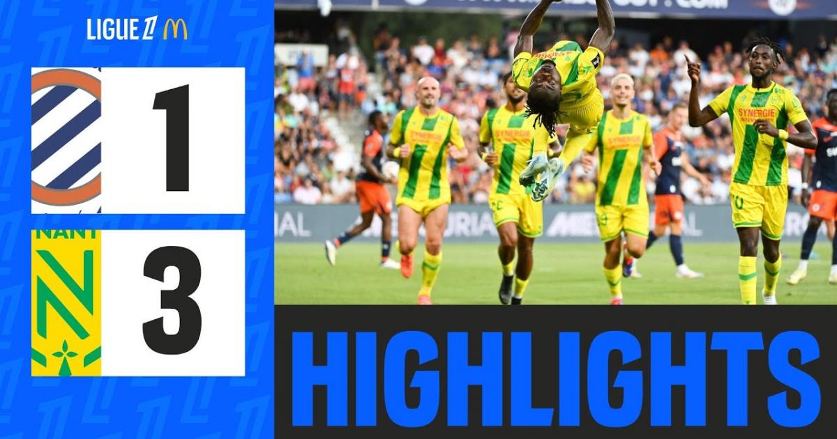 Highlights