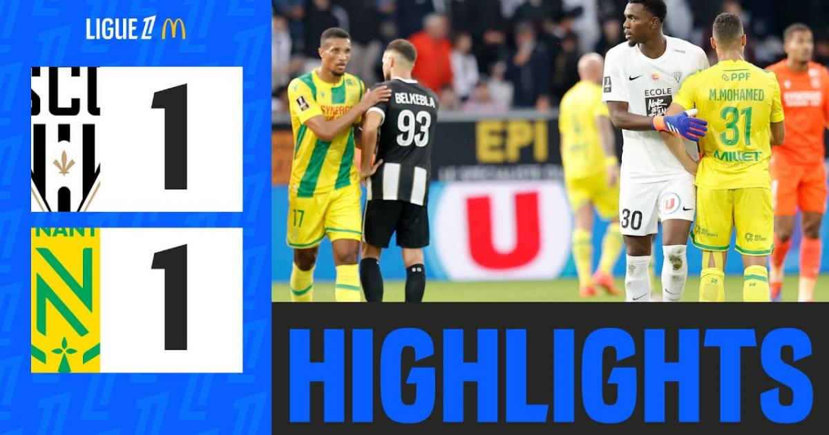 Highlights