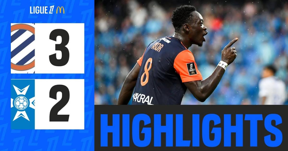 Highlights