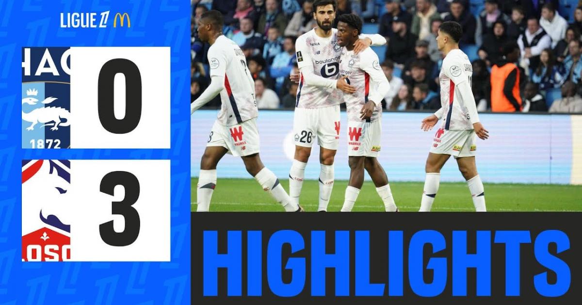 Highlights