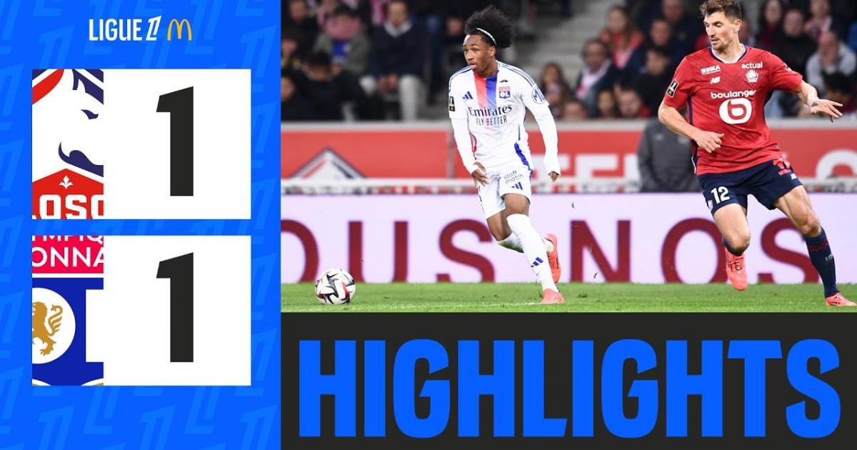 Highlights