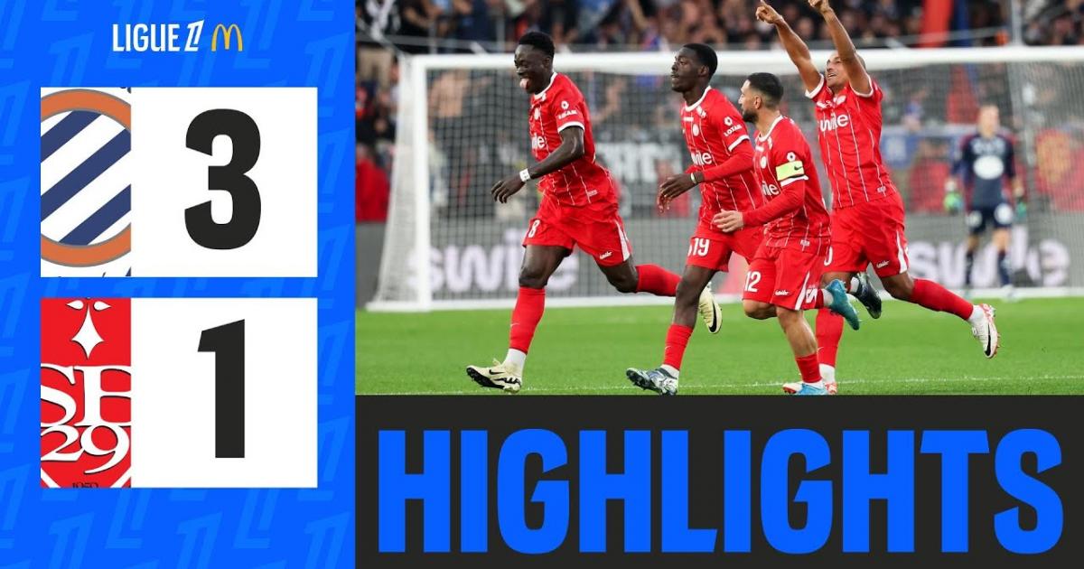 Highlights