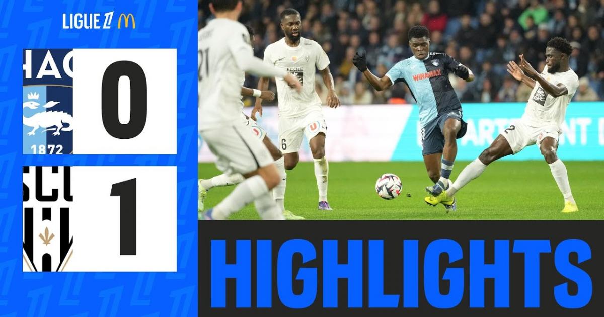 Highlights
