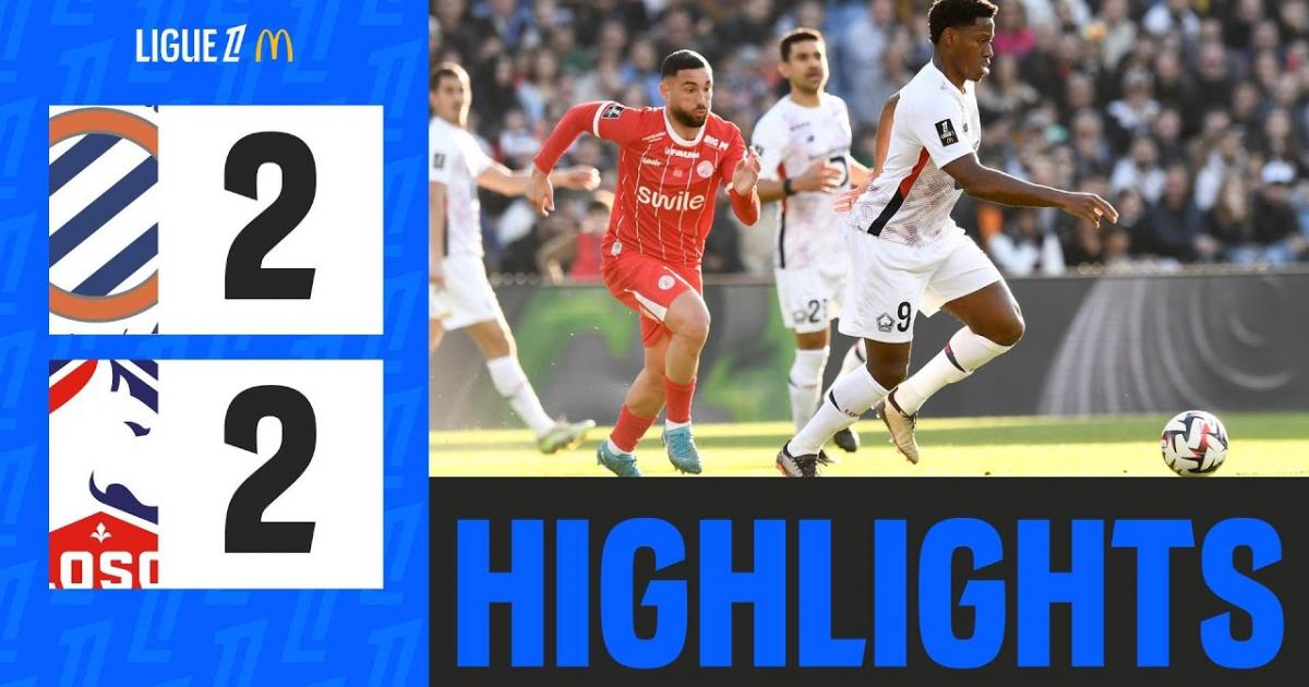 Highlights