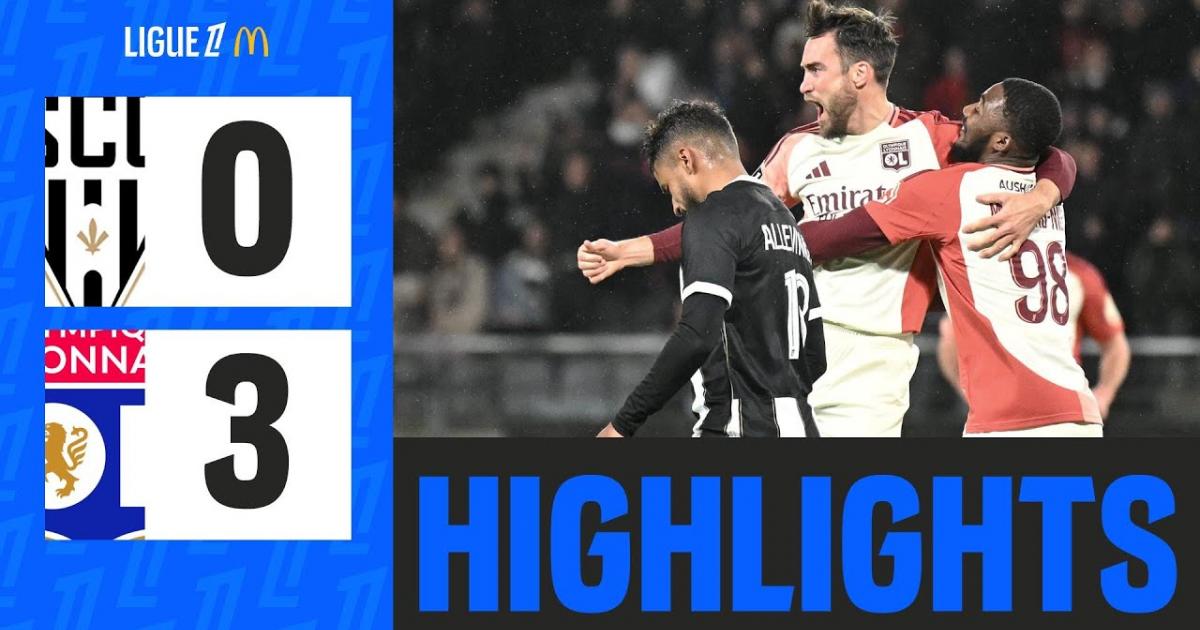 Highlights