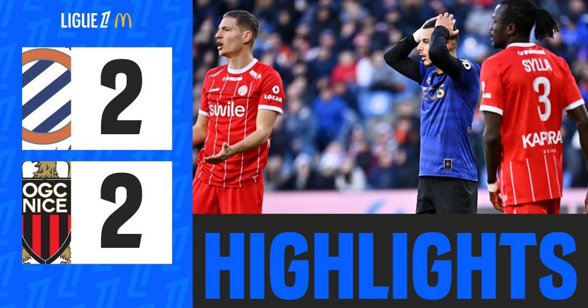 Highlights