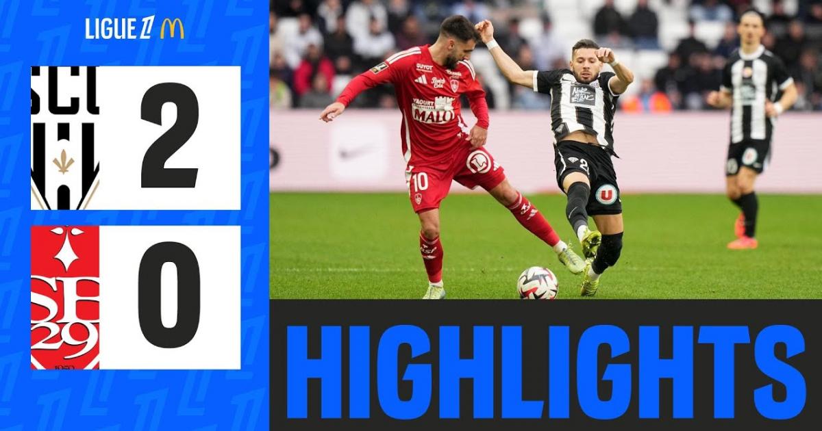 Highlights