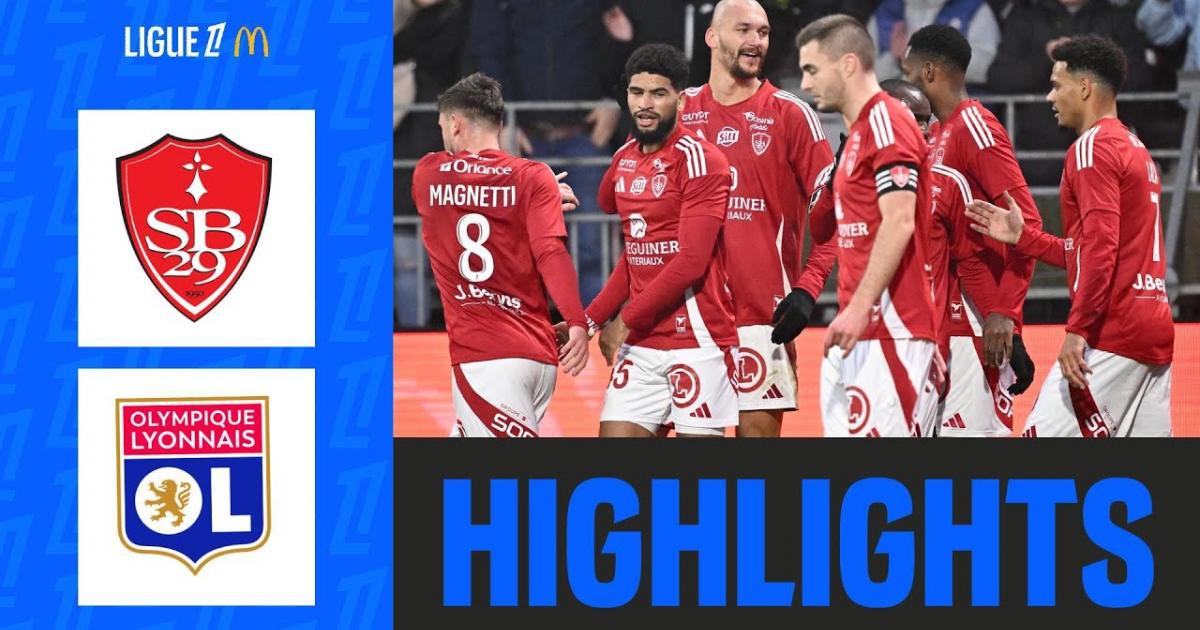 Highlights