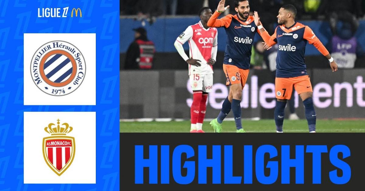 Highlights