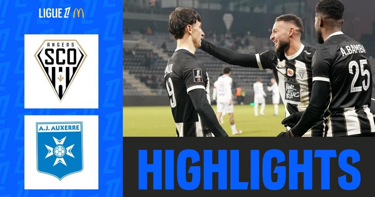 Highlights
