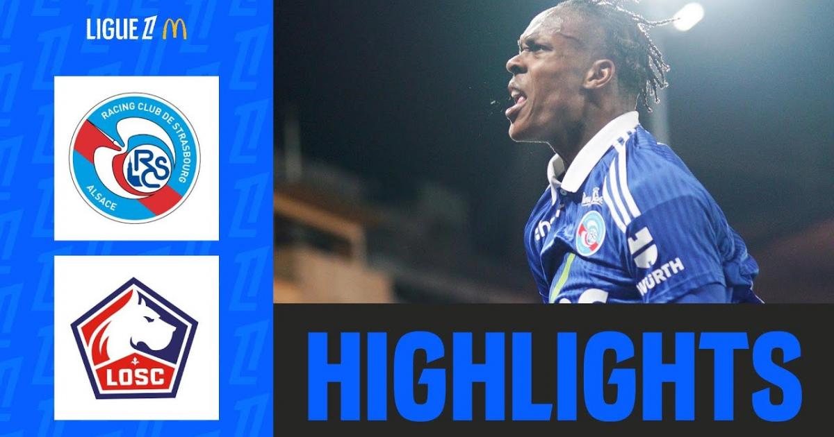 Highlights