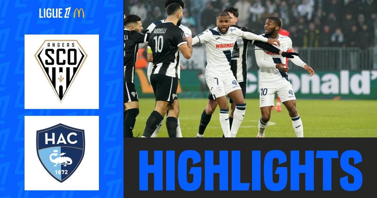 Highlights