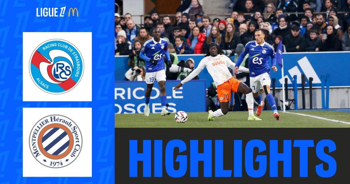 Highlights