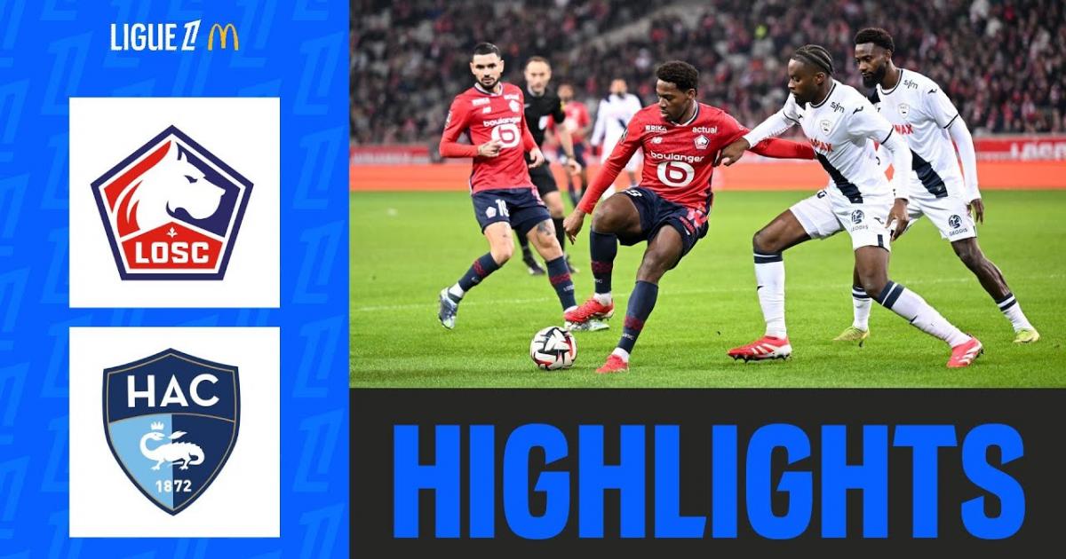 Highlights