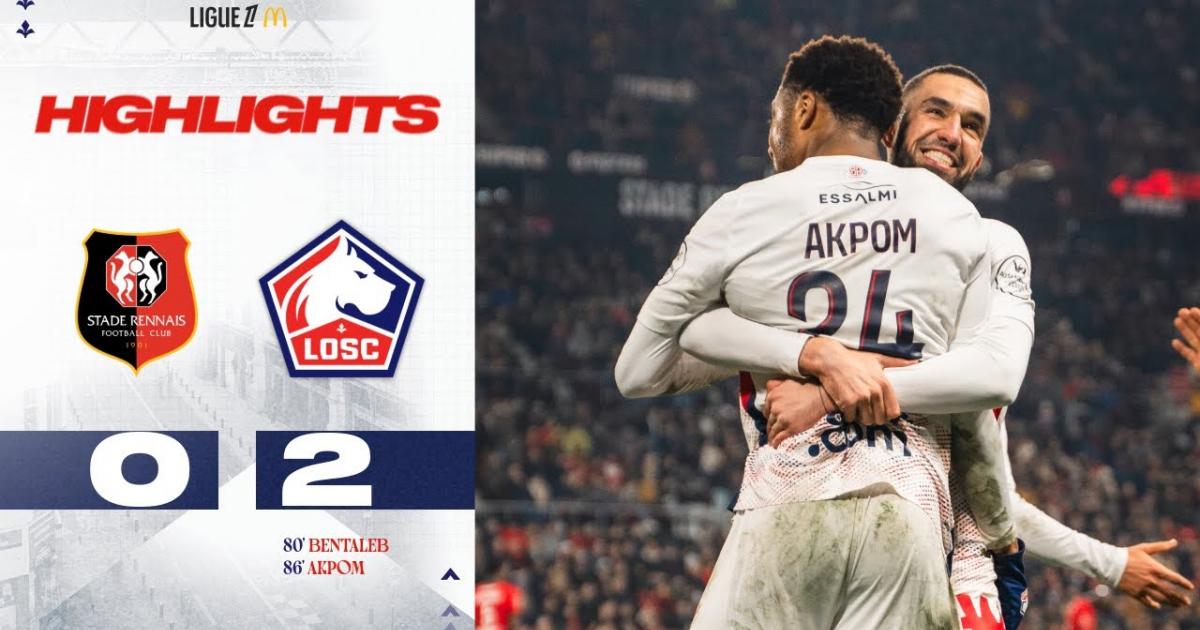 Highlights